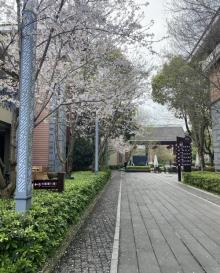 莲云谷温泉24