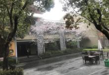 莲云谷温泉21