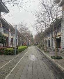 莲云谷温泉29