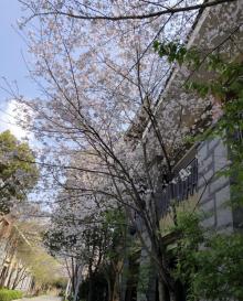 莲云谷温泉27