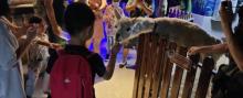 合肥漫乐城未来动物城11