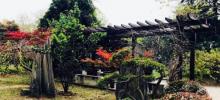 石象路6