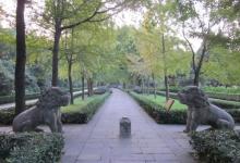 石象路19