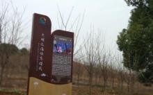 大明花海生态旅游区3