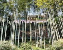 飞来峰2