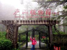 庐山植物园9
