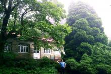 庐山植物园6