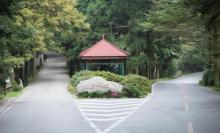 庐山植物园2