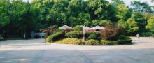 南湖公园6