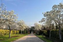 龙虎山花语世界景区1