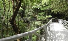 圣井山13