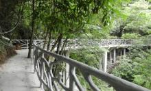 圣井山8
