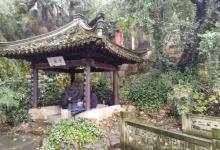 清白泉3