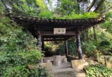 清白泉1