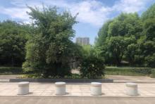 国大公园3