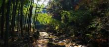 日铸岭古道3