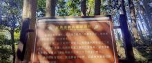白云观1