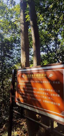 白云观4