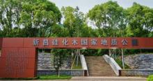 新昌硅化木国家地质公园1