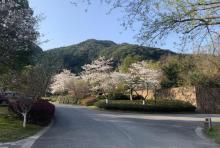 宛委山2