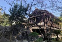 问梅槛1