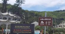 千年香榧林景区4