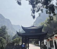千年香榧林景区3