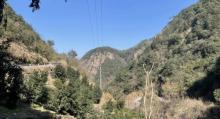 千年香榧林景区5