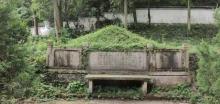 徐渭墓1