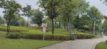上虞滨江湿地公园1