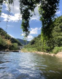 千年香榧探险漂流2