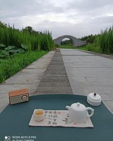 艇湖城市公园5