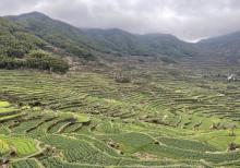 覆卮山大石浪3