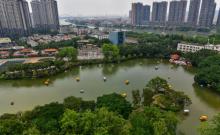 龙山公园4