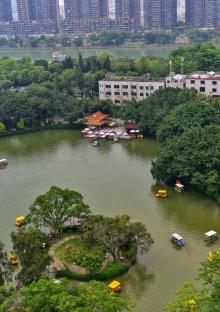 龙山公园10
