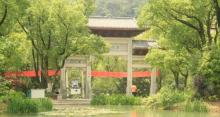 龙山公园13