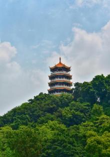龙山公园5