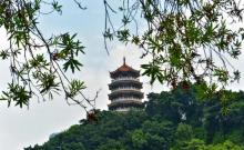 龙山公园9