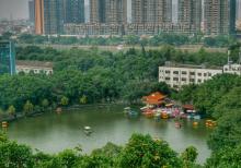 龙山公园6