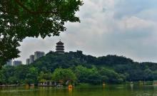 龙山公园7