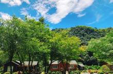 绿林谷景区18