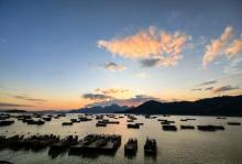 小皓海滩3