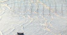 小皓海滩2