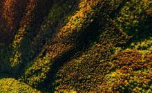 大盘山2