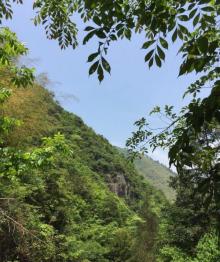 大盘山3