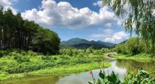 坛头湿地公园6