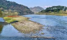 坛头湿地公园8