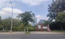 塔下洲公园2