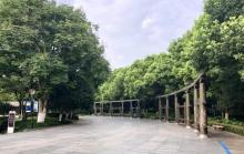 八咏公园5