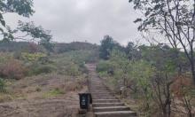 南山公园1